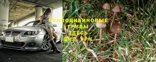 ALPHA PVP Майский
