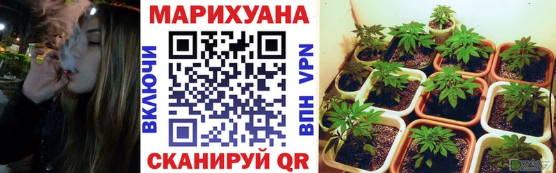 хочу   Куровское  Конопля White Widow 